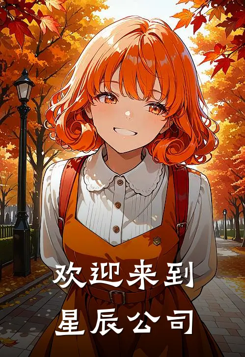 欢迎来到星辰公司