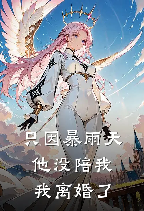 只因暴雨天他没陪我，我离婚了